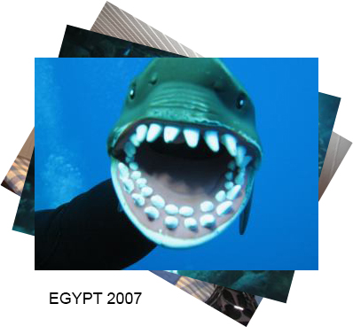 egypt2007